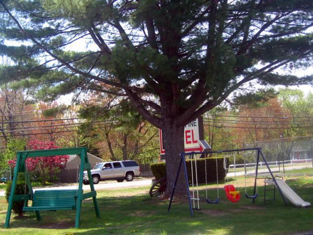 Knotty Pine Motel Salisbury Zewnętrze zdjęcie
